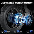 Adventure Electric Bike for Urban & Trail