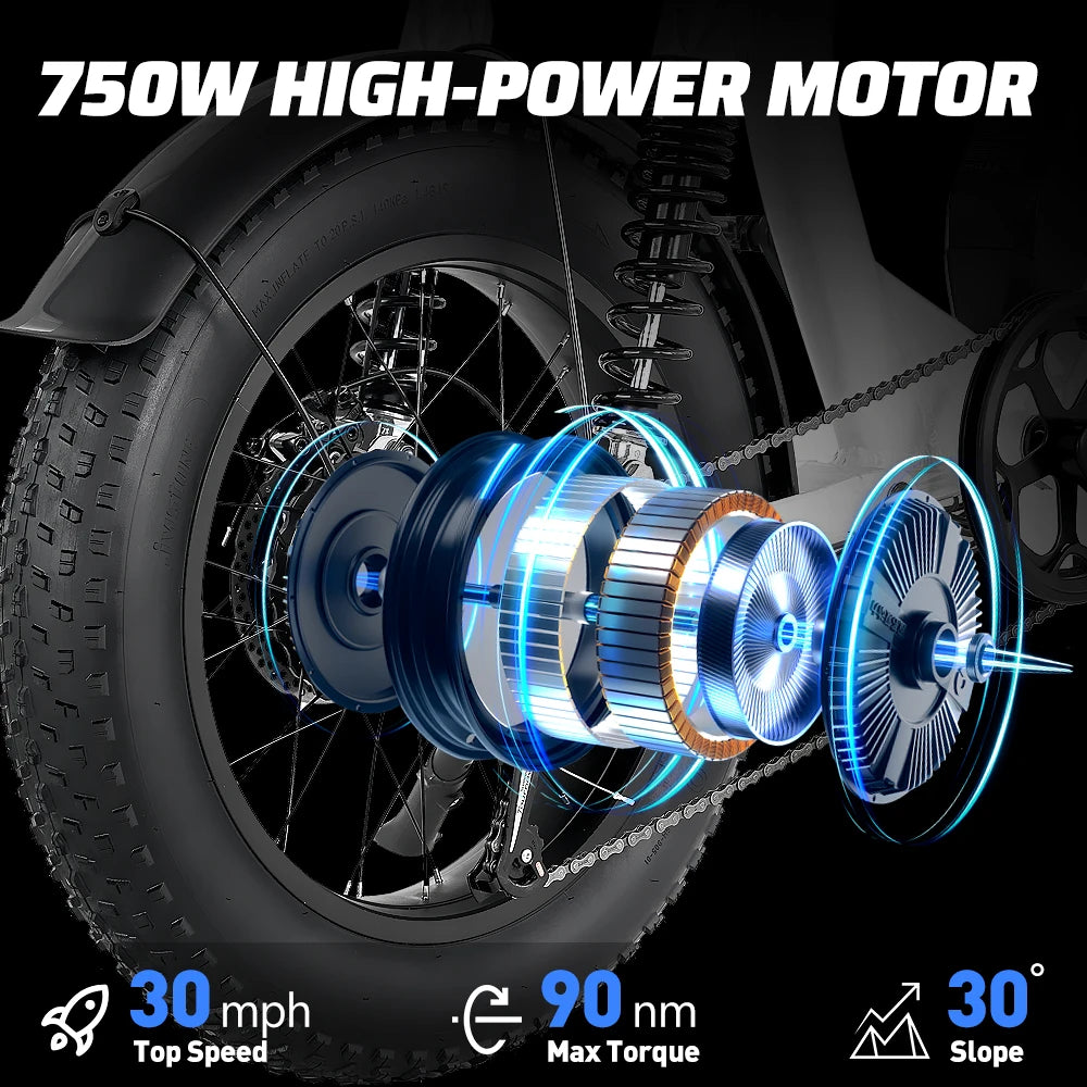 Adventure Electric Bike for Urban & Trail